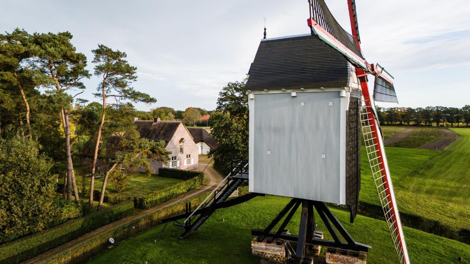 Beddermolen - Molenhuis Op Historisch Erfgoeddomein ウェスターロ エクステリア 写真